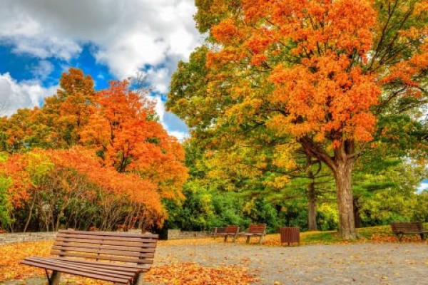 Định cư Canada là món quà tương lai tôi dành cho con